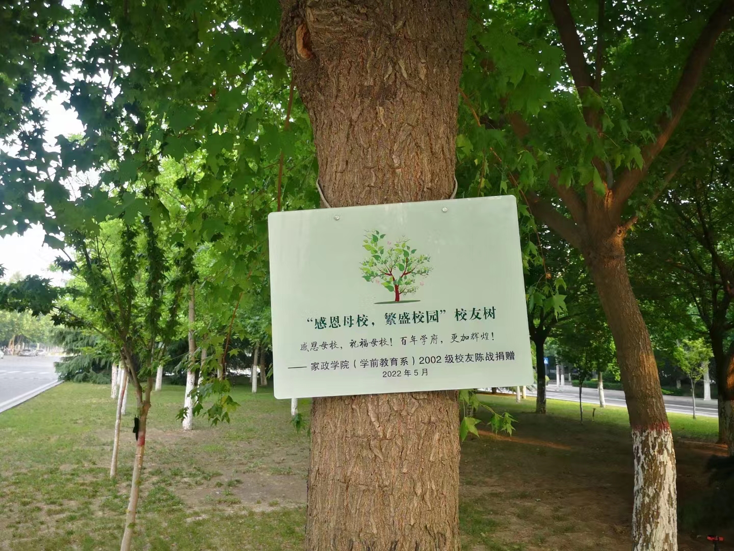 師大1.jpg